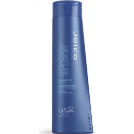 Joico Moisture Recovery Shampoo 300ml